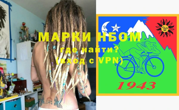 стаф Соликамск
