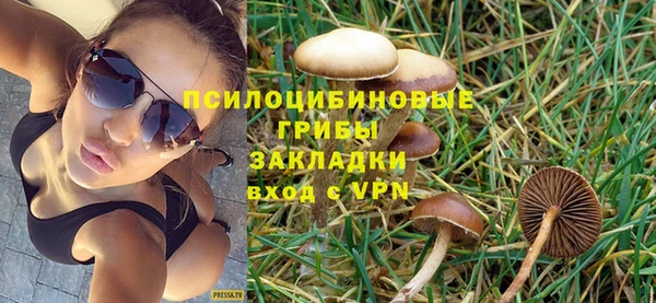 2c-b Надым