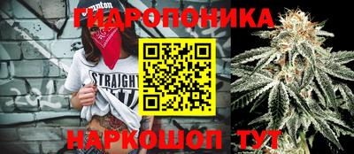 кокс Гай