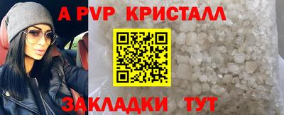 кокс Гай