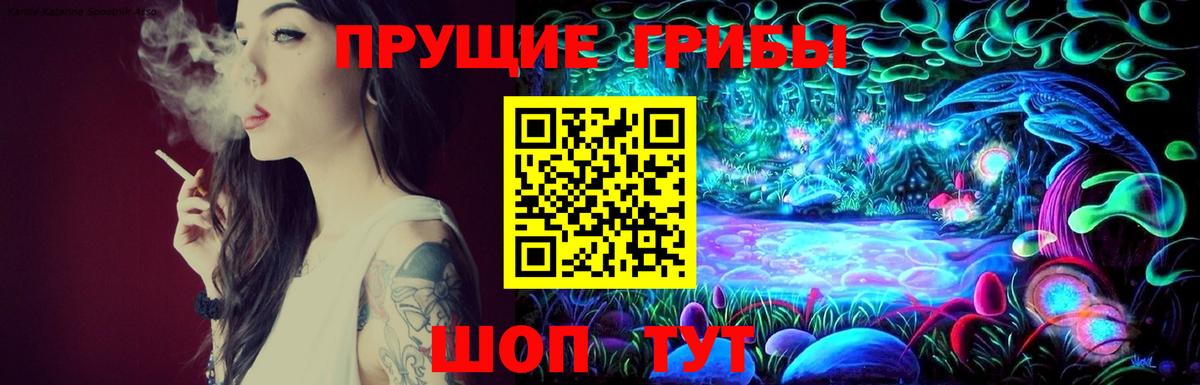 Псилоцибиновые грибы Psilocybine cubensis Ярцево