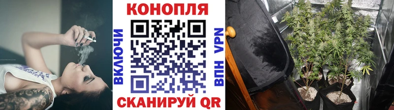 Марихуана AK-47  цены наркотик  Ярцево 